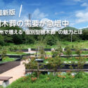 樹木葬の需要が急増中