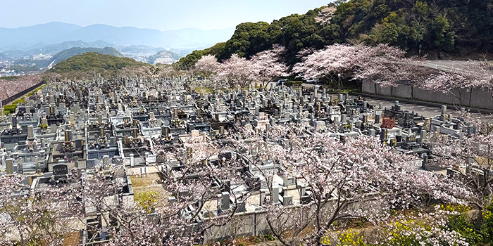 お墓の「これから」を検討されている方へ