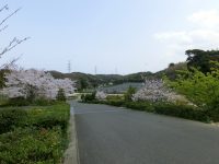 高須霊苑 風景
