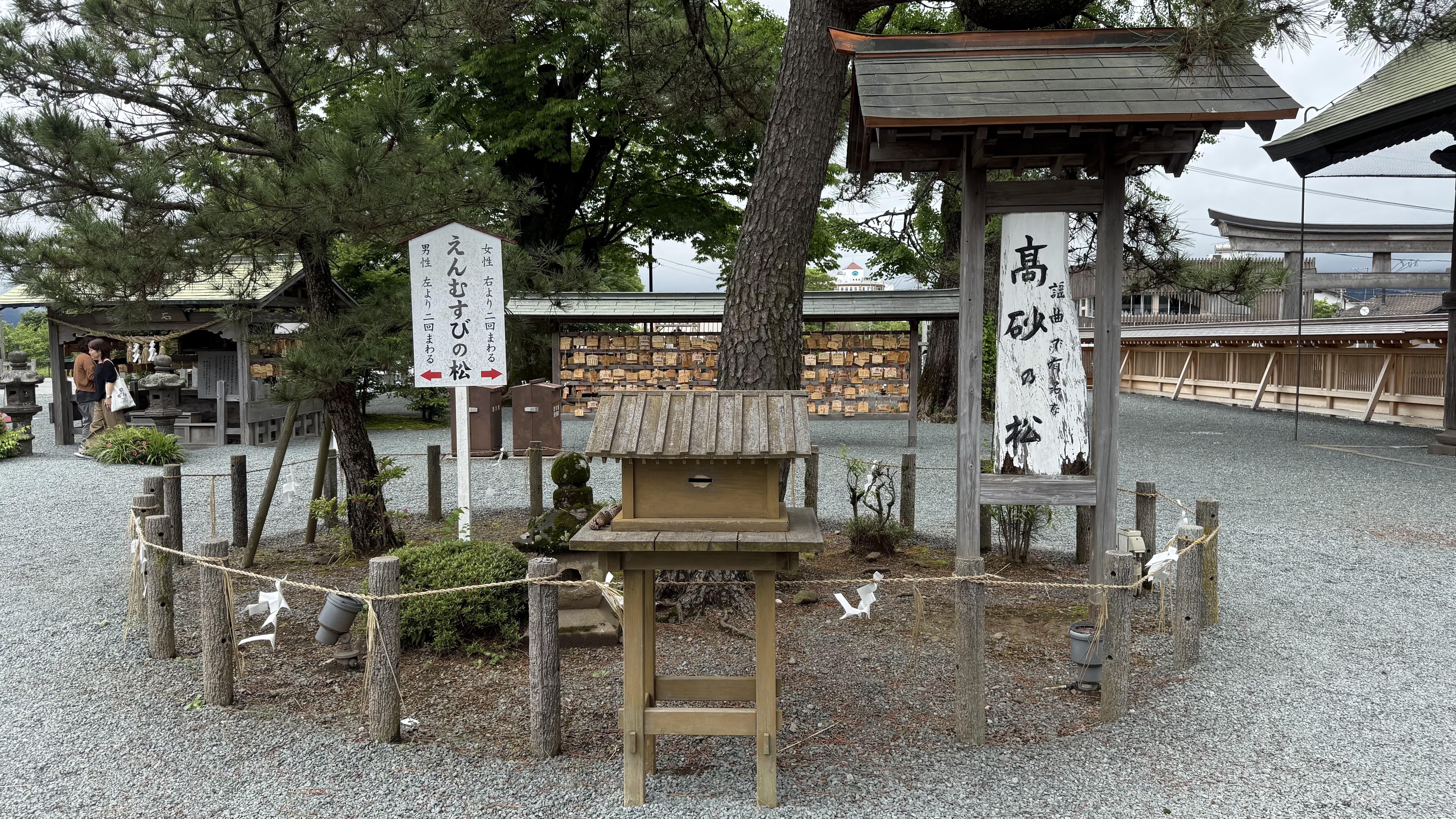 阿蘇神社の高砂の松