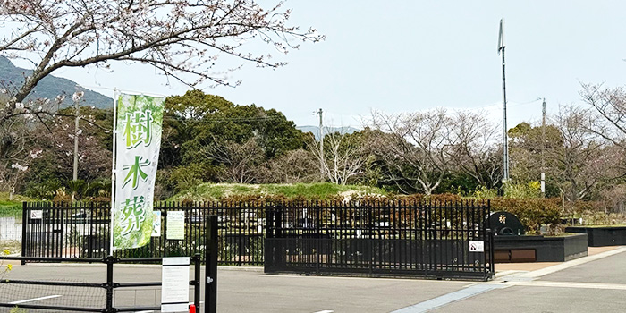 滑石樫原霊苑・オリーブ苑