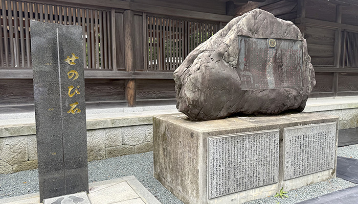阿蘇神社のせのび石