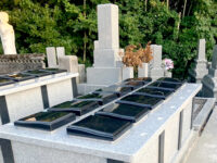 蒲生野の丘ひびき墓苑 樹木葬