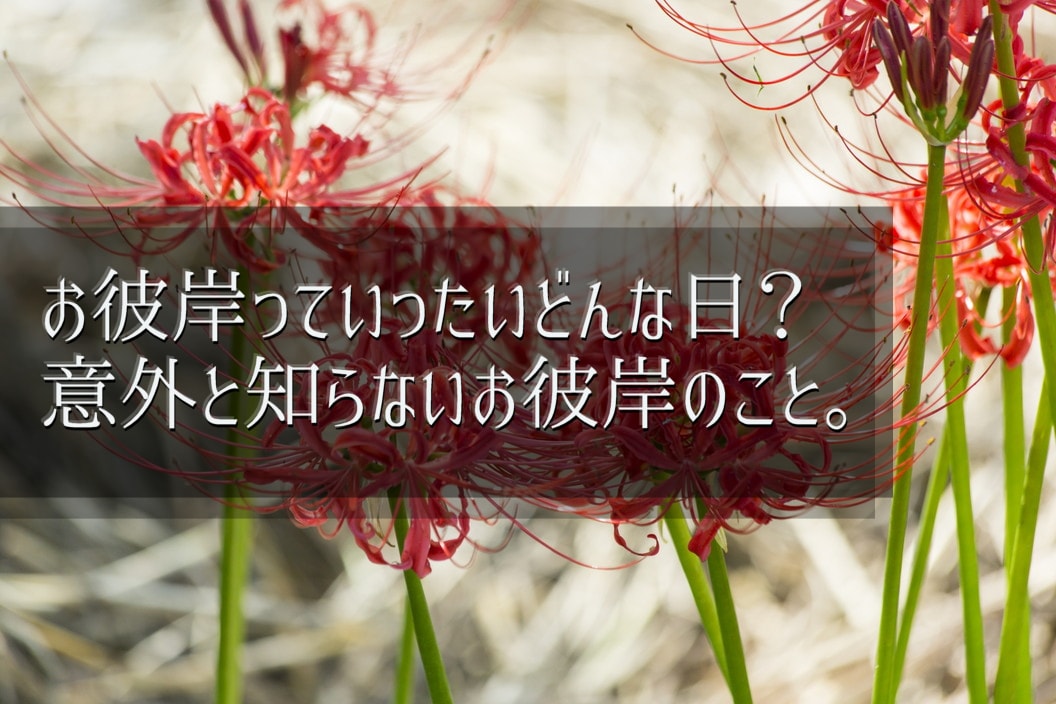 お彼岸ってどんな日 お盆と同様にお墓参りに最適な日 お墓 納骨の総合パートナー コトナラ 公式