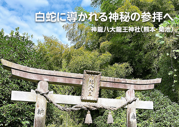神龍八大龍王神社（熊本・菊池）